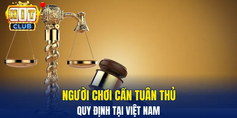 Chính sách miễn trừ trách nhiệm - người chơi cần tuân thủ chính sách tại Việt Nam